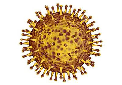 virus N1H1